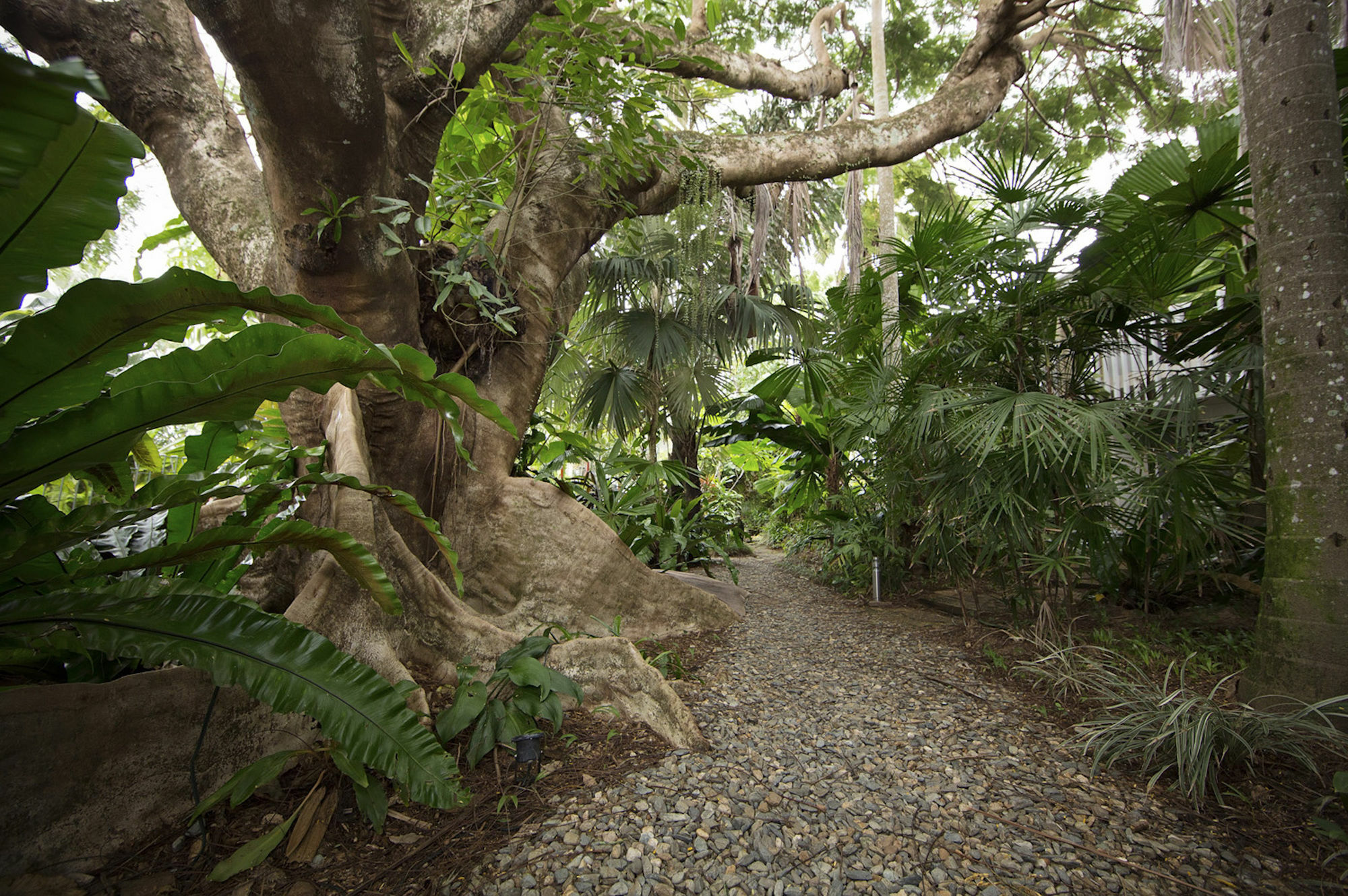 Castaways Resort & Spa On Mission Beach Exteriör bild