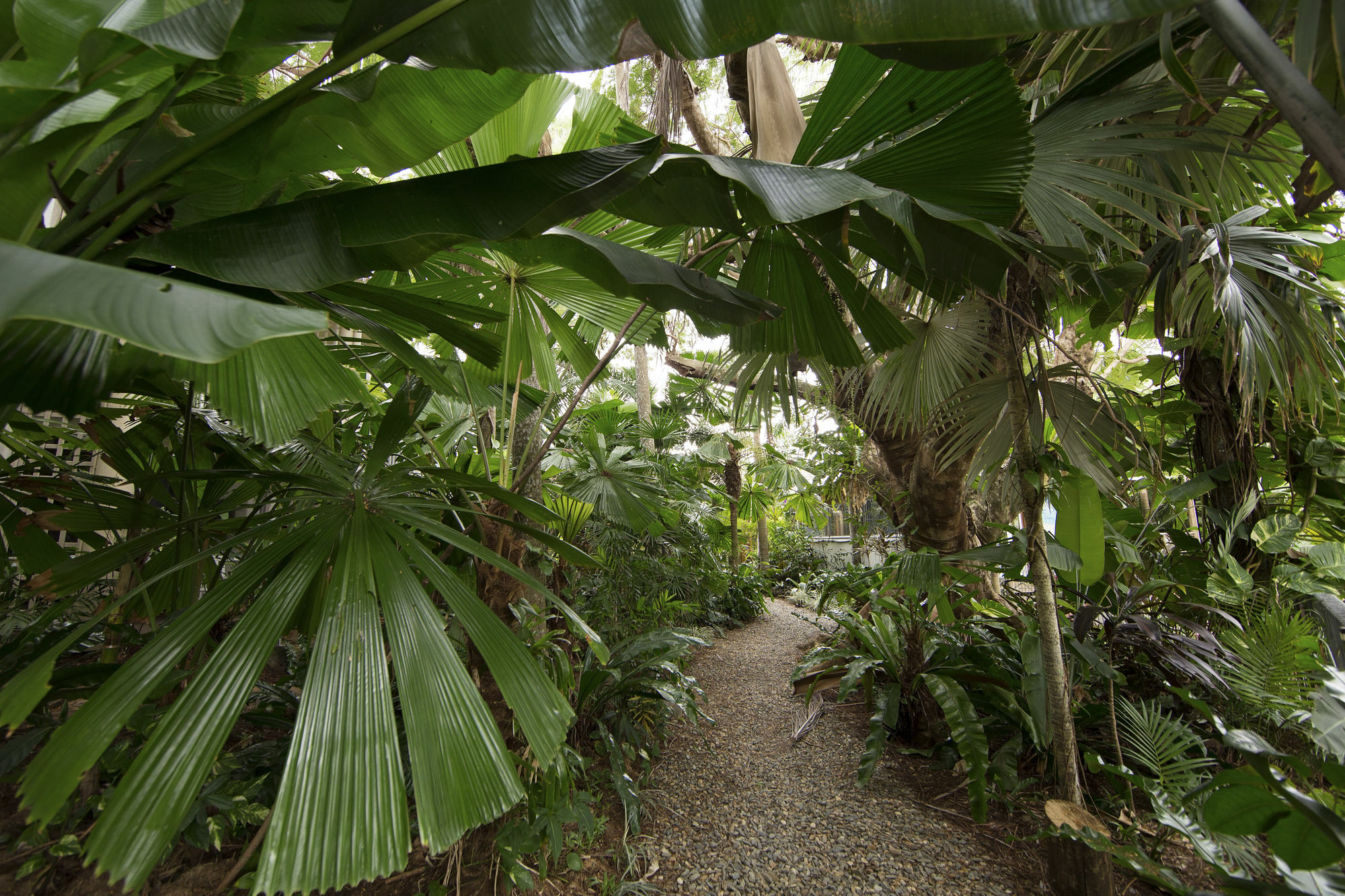 Castaways Resort & Spa On Mission Beach Exteriör bild